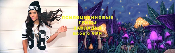 СК Кукмор