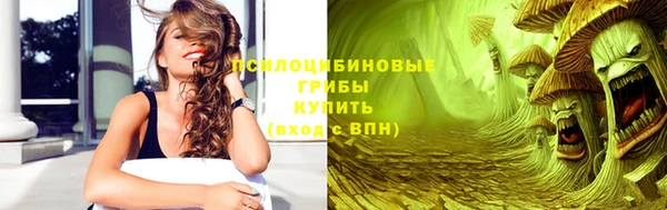 индика Нижний Тагил