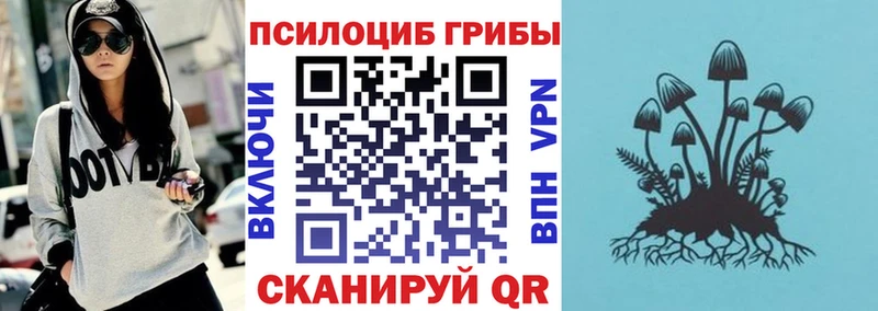Галлюциногенные грибы мухоморы  Плёс 